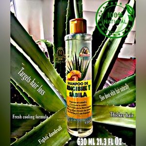 SHAMPOO DE JENGIBRE Y SÁBILA / GINGER & ALOE VERA SHAMPOO, Nolisan 630 Ml. NEW